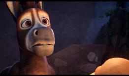 一个人的视频,视频中的生活剪影