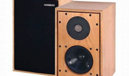 国产精品书架音箱,音质卓越，品味生活新境界