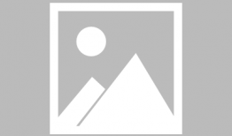 孤鸿 漫画,孤独灵魂的飞翔与沉思